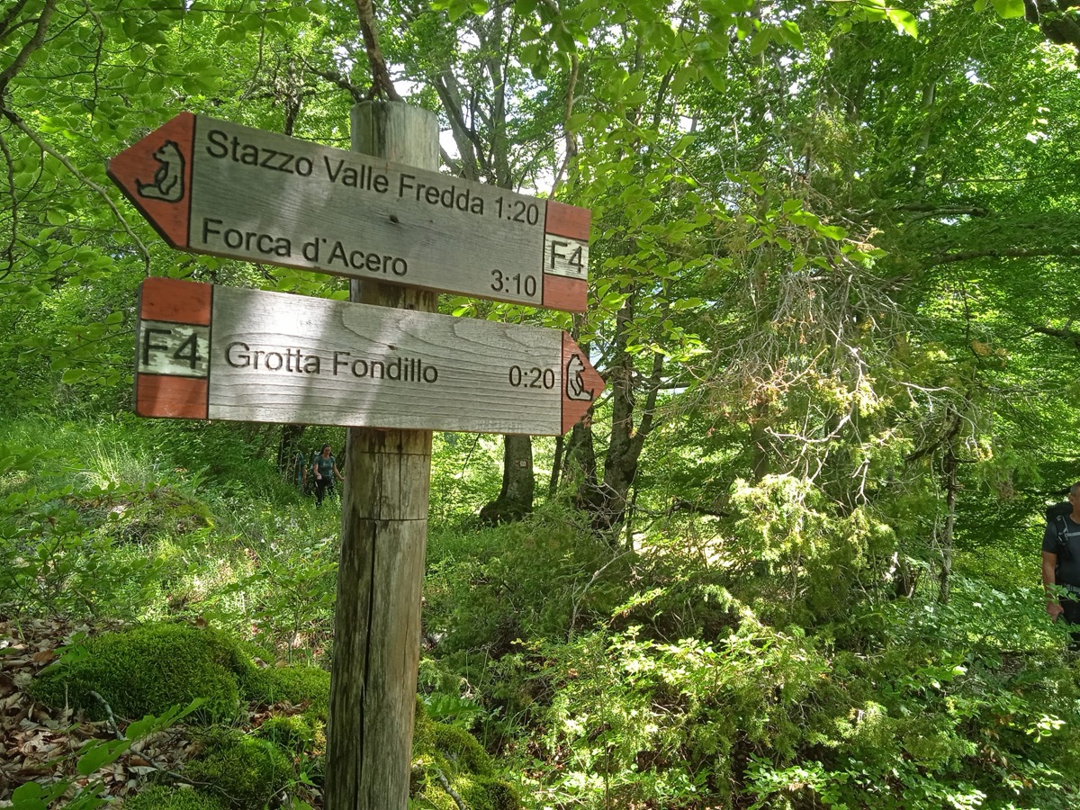 Segnavia in legno nel bosco